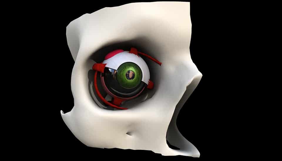 Die Anatomie des Auges